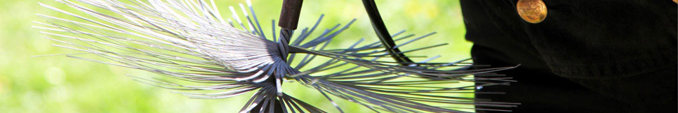 Banner - Thomas Isermann